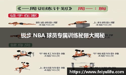 锐步 NBA 球员专属训练秘籍大揭秘